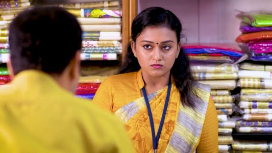 Varada Jishin Actress New Serial