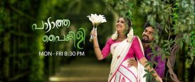 Paadatha painkili today episode