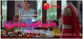 Zee Keralam Serial Pranayavarnangal