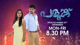 Palungu Serial Asianet