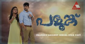 Palunku Serial Asianet Today Episode Online