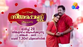 Seethappennu Serial Flowers TV