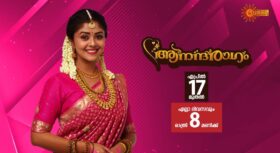 Anandharaagam Serial Time