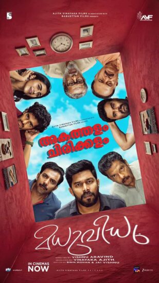 Madhuvidhu OTT Rights